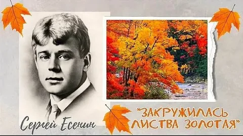 аууауа.png