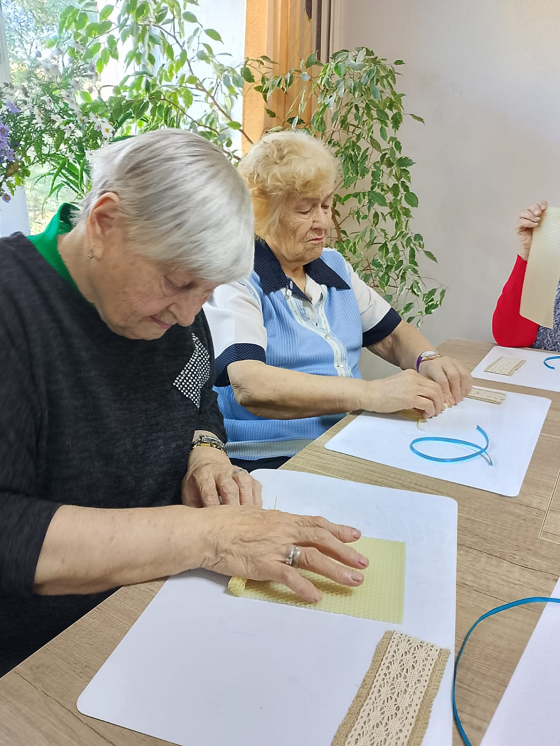 Амурские долголеты стали участниками «Формулы хороших дел»