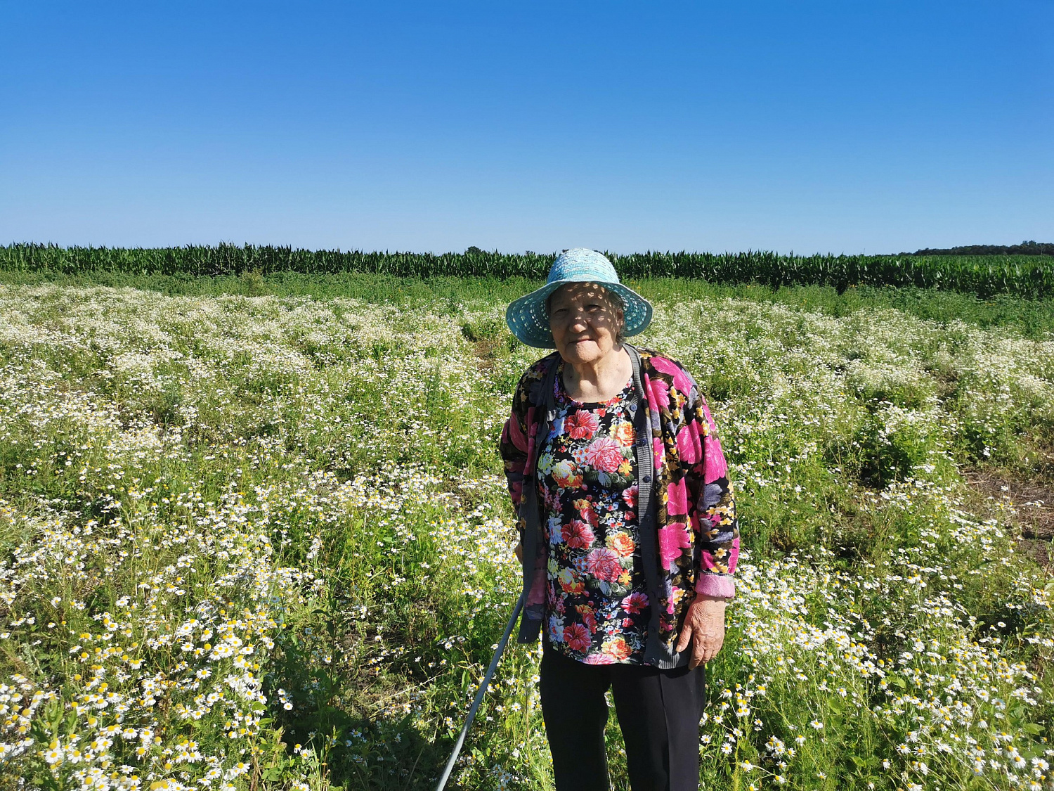В Приамурье для пожилых граждан прошла фотосессия «Ромашковое утро» 