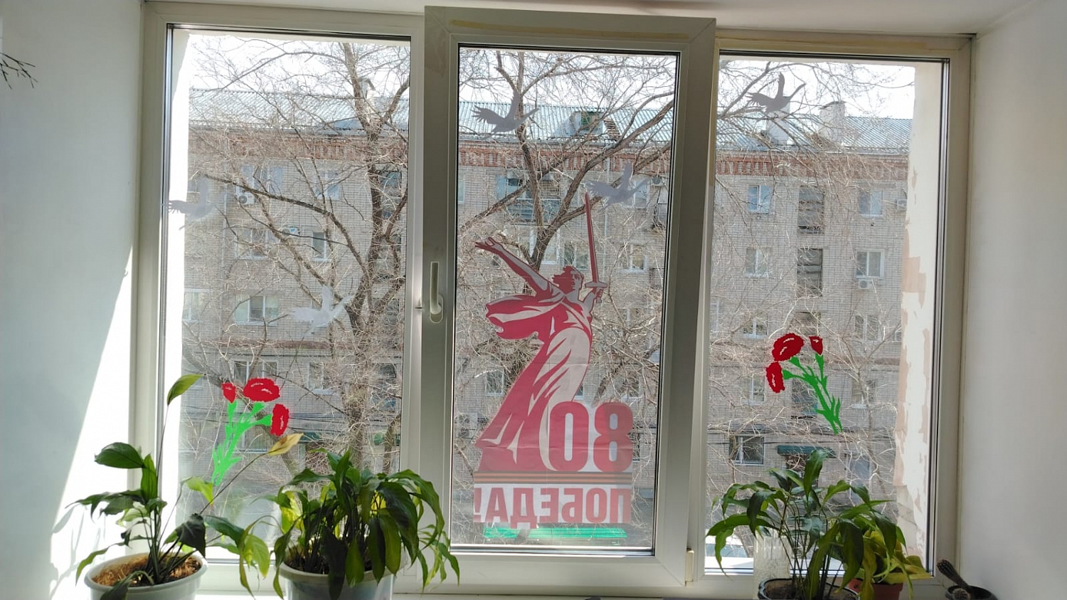 Амурские долголеты приняли активное участие в праздновании 80-ой годовщины Победы в Великой Отечественной войне