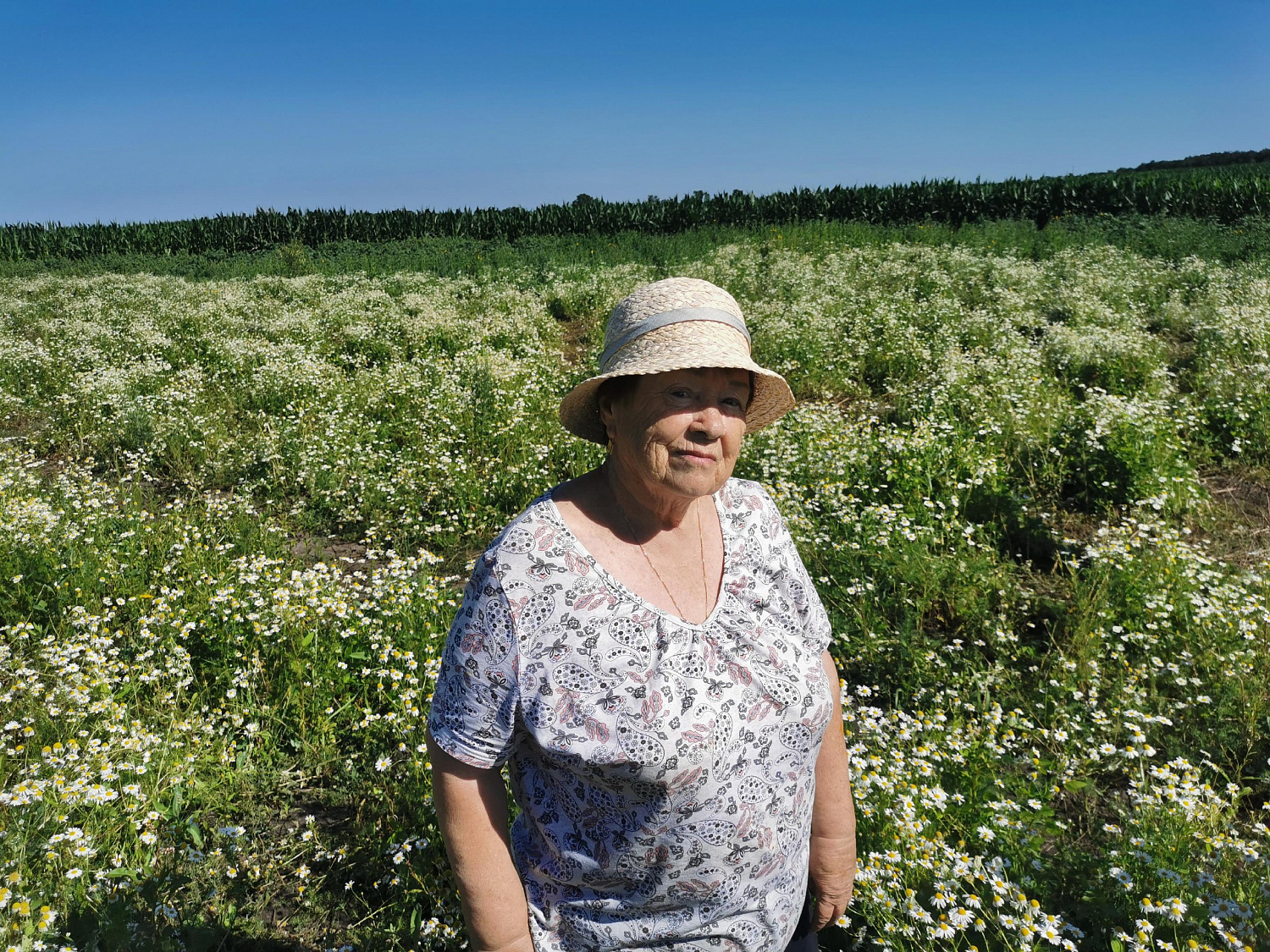 В Приамурье для пожилых граждан прошла фотосессия «Ромашковое утро» 