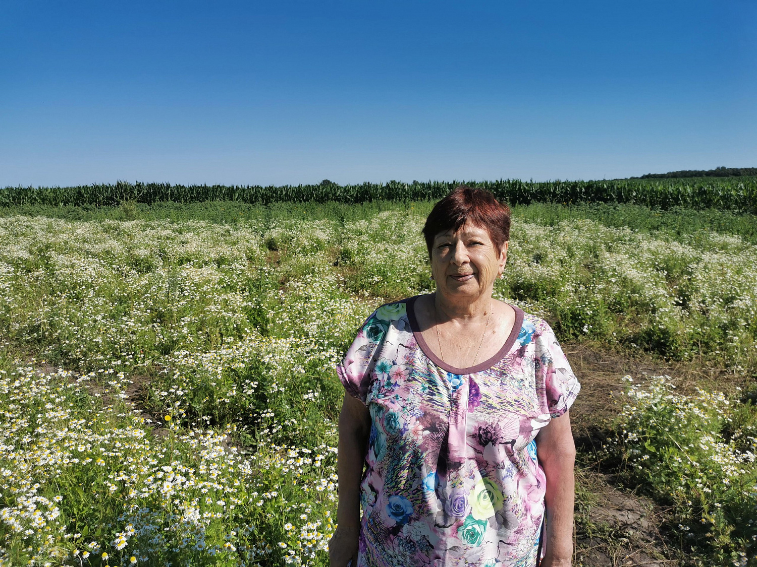В Приамурье для пожилых граждан прошла фотосессия «Ромашковое утро» 